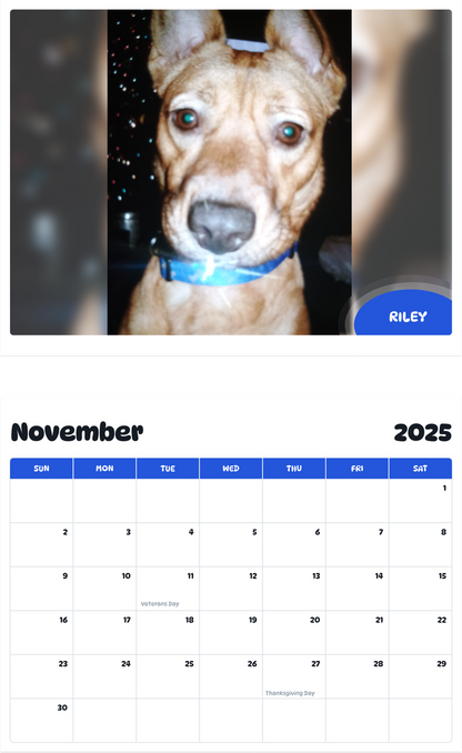 July 2025 - June 2026 Riley - Pawidols Pet Calendar