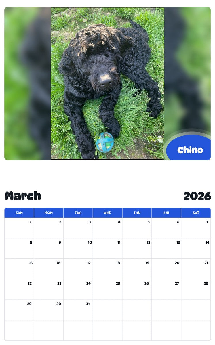 November 2025 - October 2026 Chino - Pawidols Pet Calendar