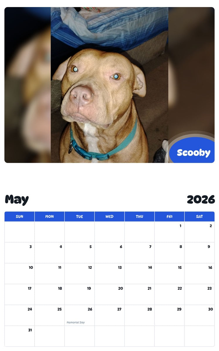 2026 - 2027 Scooby - Pawidols Pet Calendar