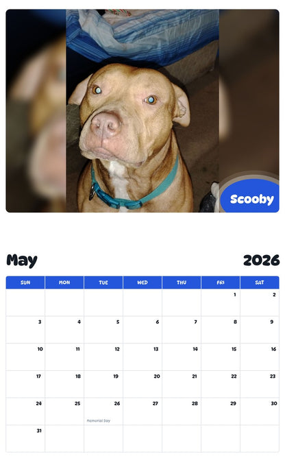 2026 - 2027 Scooby - Pawidols Pet Calendar