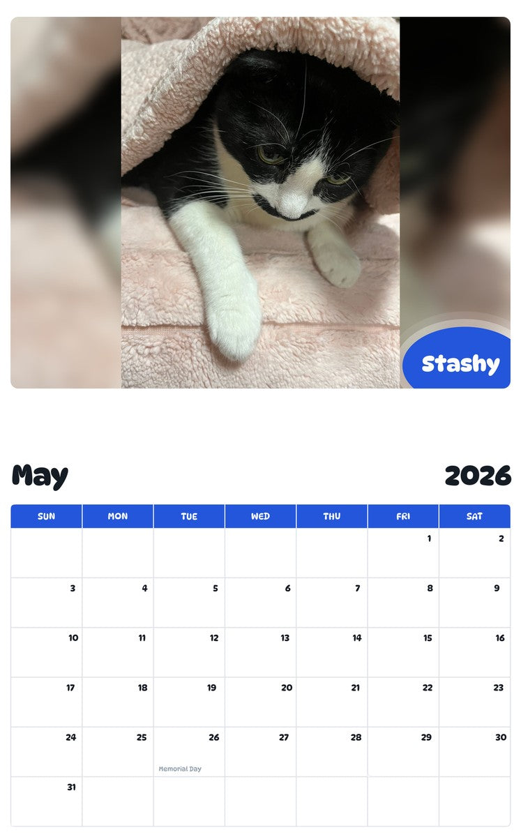 2026 - 2027 Stashy - Pawidols Pet Calendar