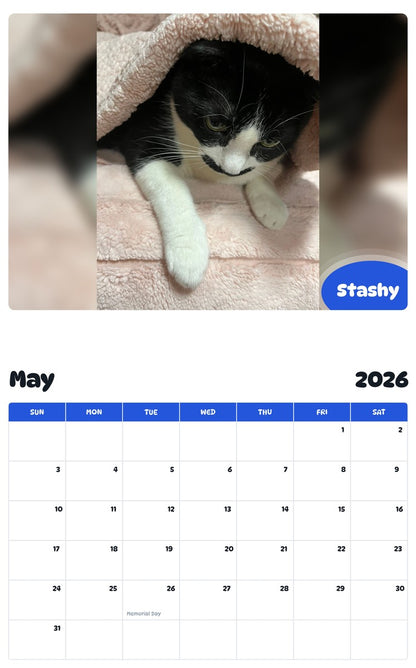 2026 - 2027 Stashy - Pawidols Pet Calendar