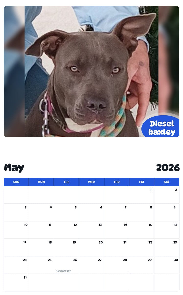 2026 - 2027 Diesel baxley - Pawidols Pet Calendar