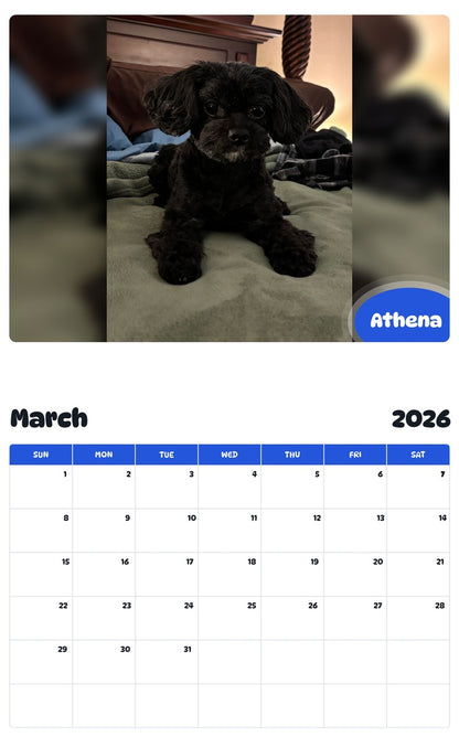 November 2025 - October 2026 Athena - Pawidols Pet Calendar
