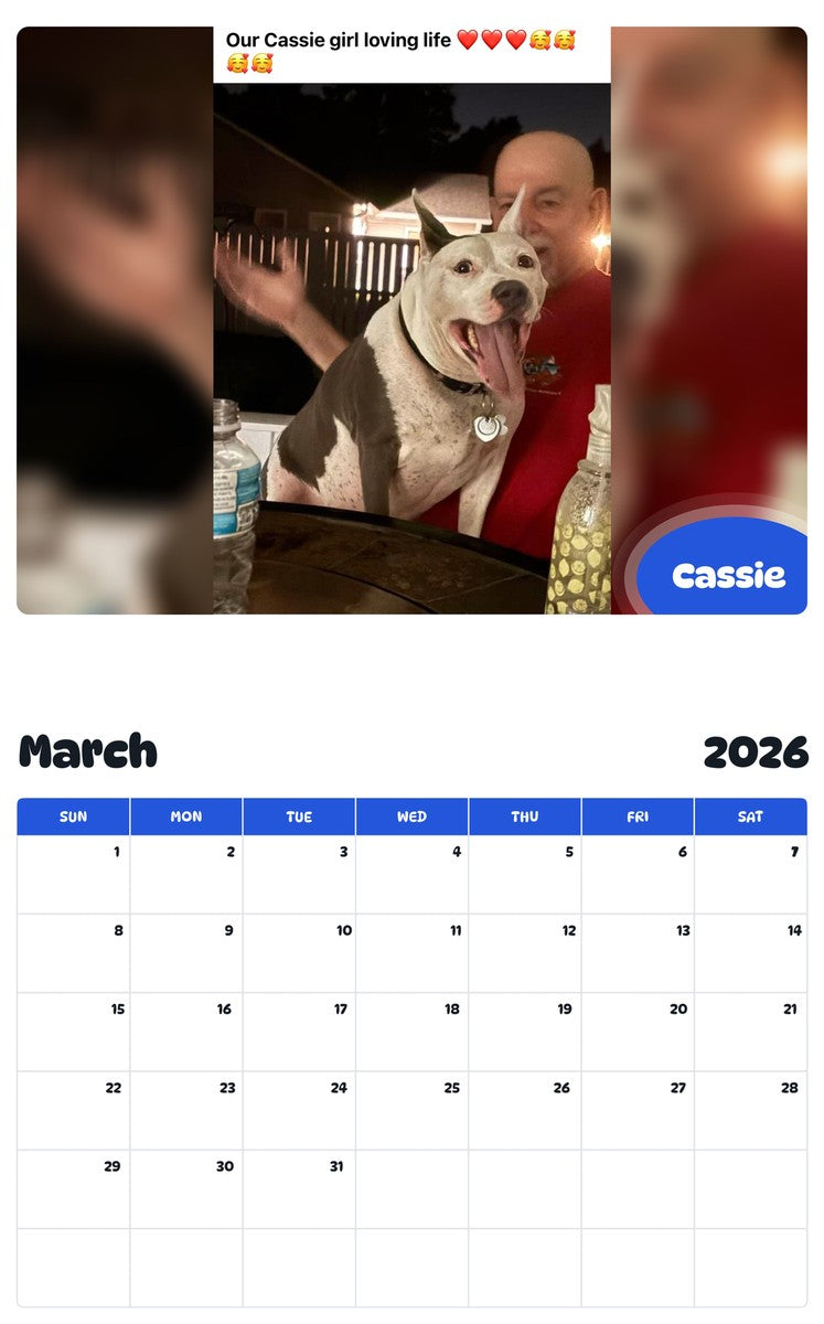 November 2025 - October 2026 Cassie - Pawidols Pet Calendar