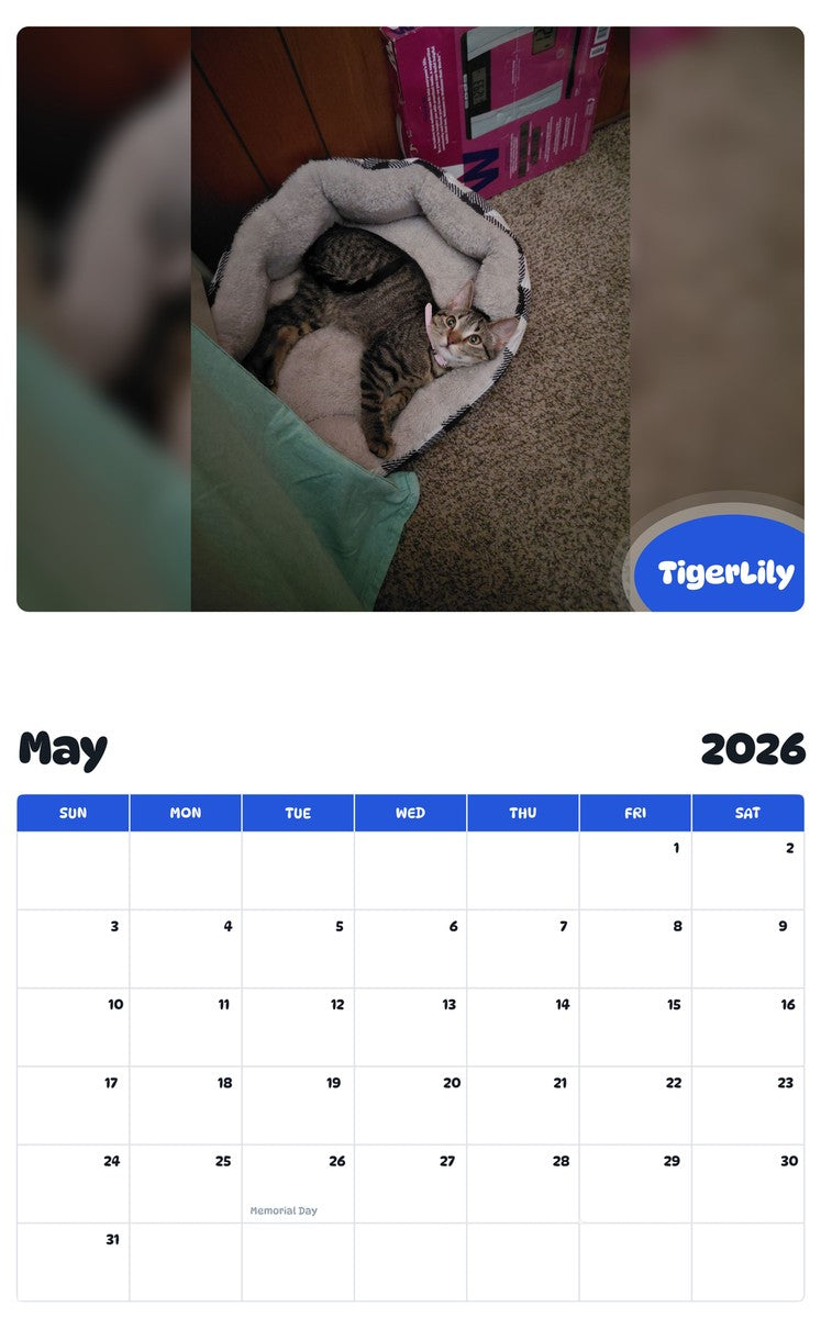 2026 - 2027 TigerLily - Pawidols Pet Calendar