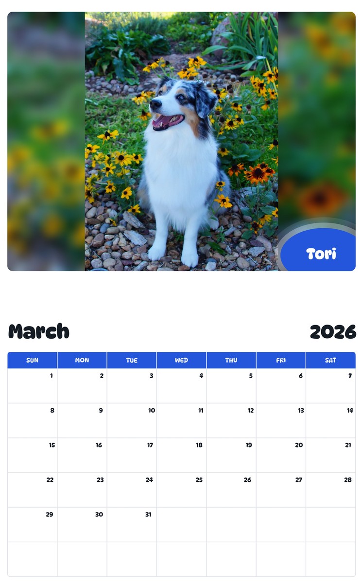 November 2025 - October 2026 Tori - Pawidols Pet Calendar