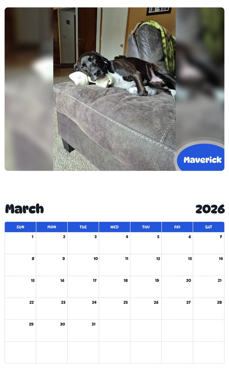 November 2025 - October 2026 Maverick - Pawidols Pet Calendar