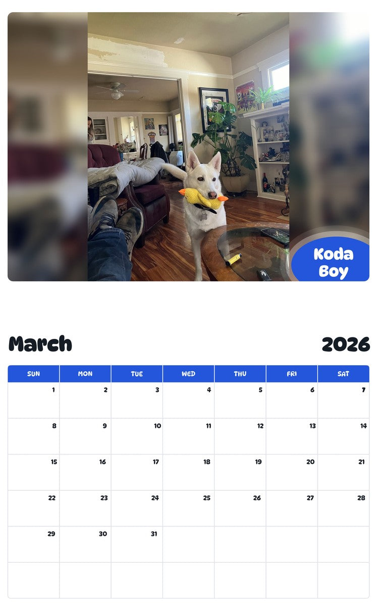 November 2025 - October 2026 Koda Boy - Pawidols Pet Calendar