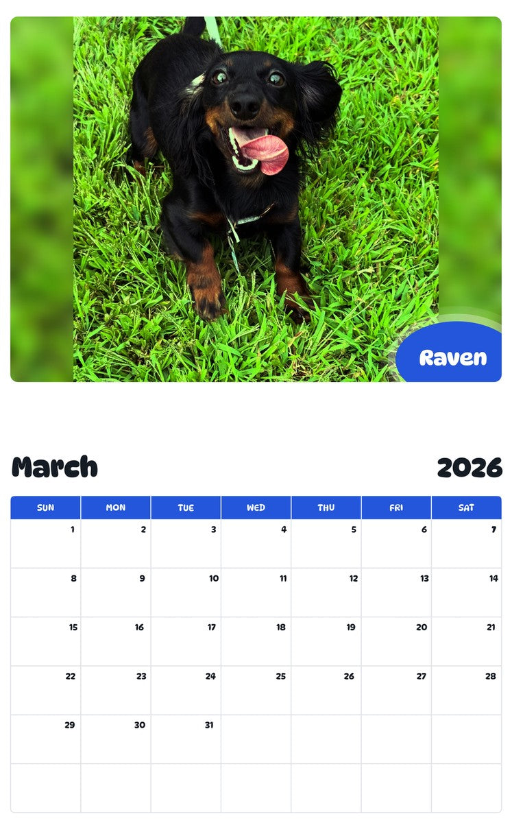 November 2025 - October 2026 Raven - Pawidols Pet Calendar