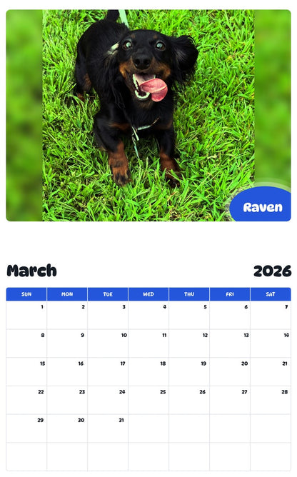 November 2025 - October 2026 Raven - Pawidols Pet Calendar