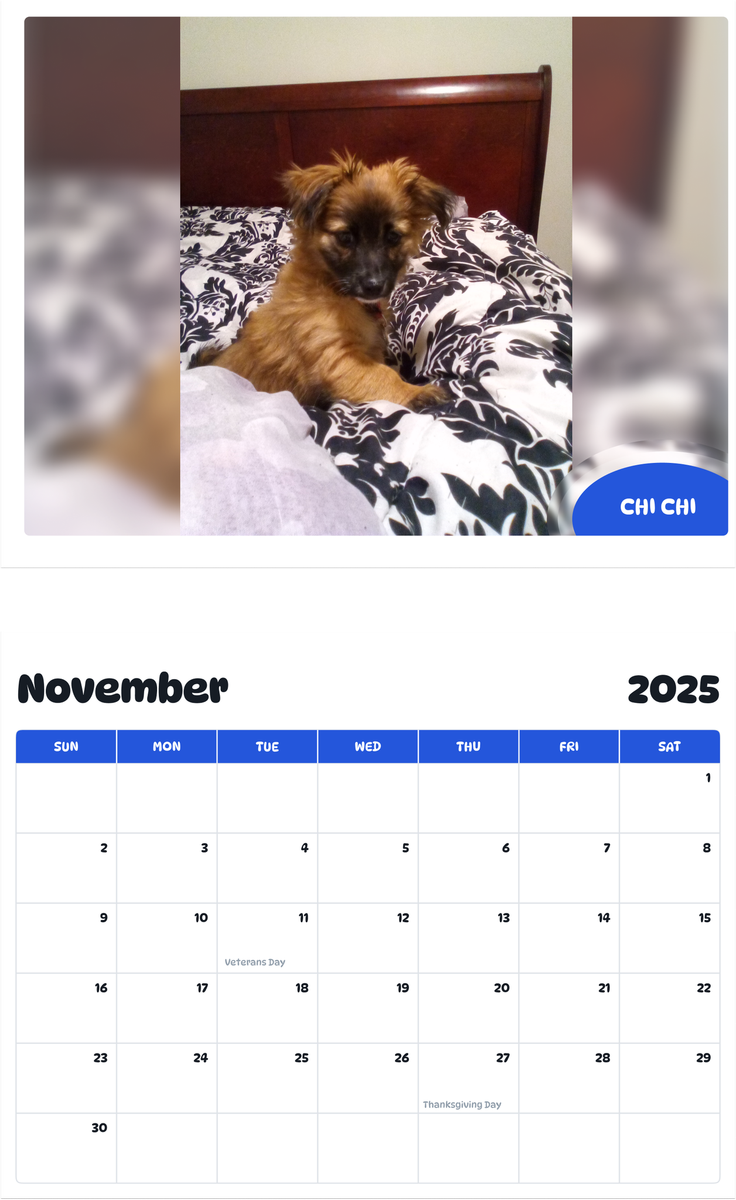 July 2025 - June 2026 Chi chi - Pawidols Pet Calendar