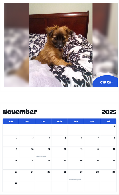 July 2025 - June 2026 Chi chi - Pawidols Pet Calendar