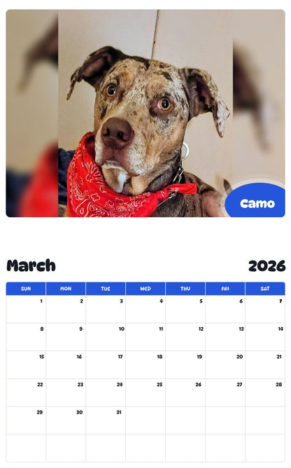 November 2025 - October 2026 Camo - Pawidols Pet Calendar