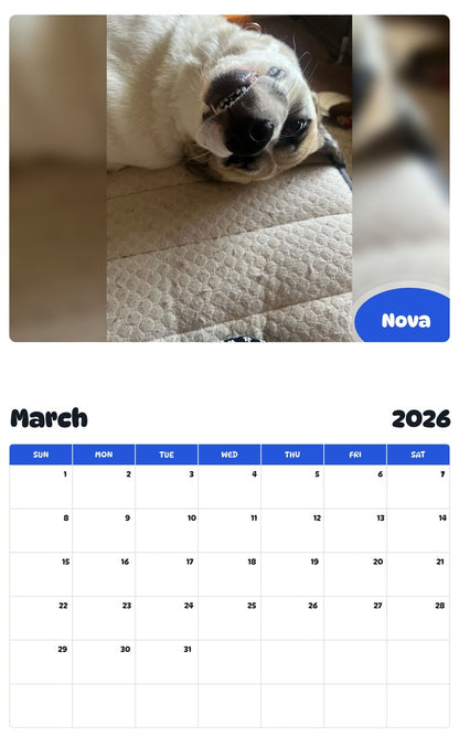 November 2025 - October 2026 Nova - Pawidols Pet Calendar