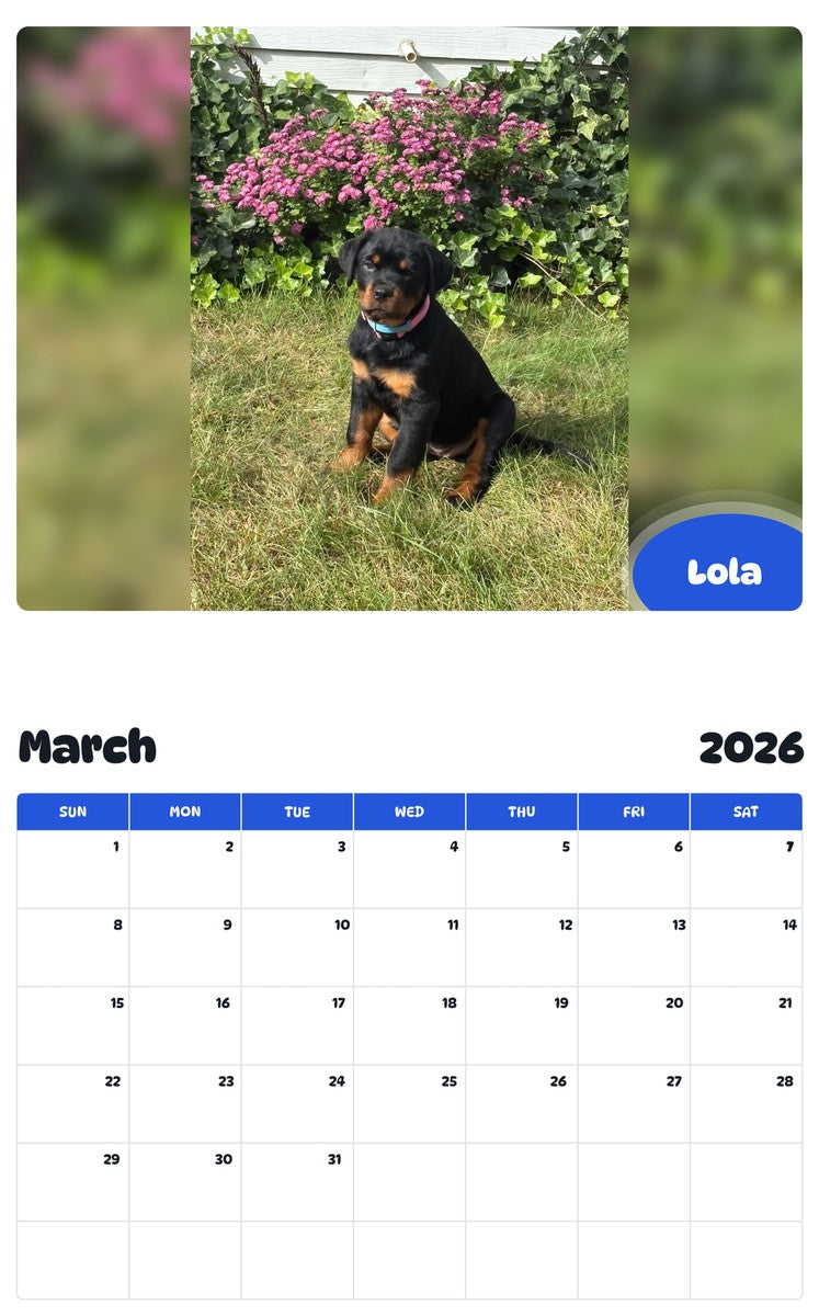 November 2025 - October 2026 Lola - Pawidols Pet Calendar