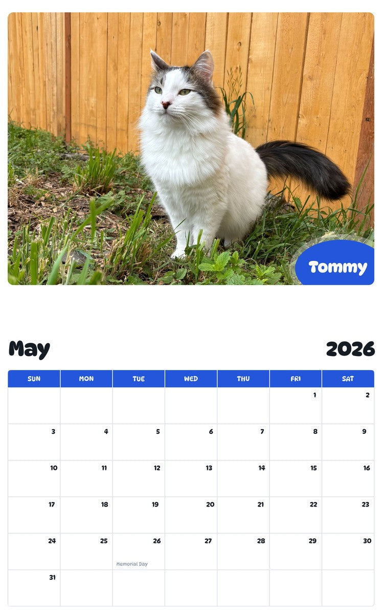 2026 - 2027 Tommy - Pawidols Pet Calendar