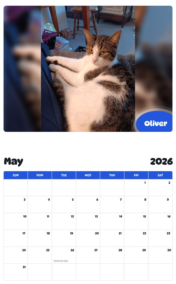 2026 - 2027 Oliver - Pawidols Pet Calendar