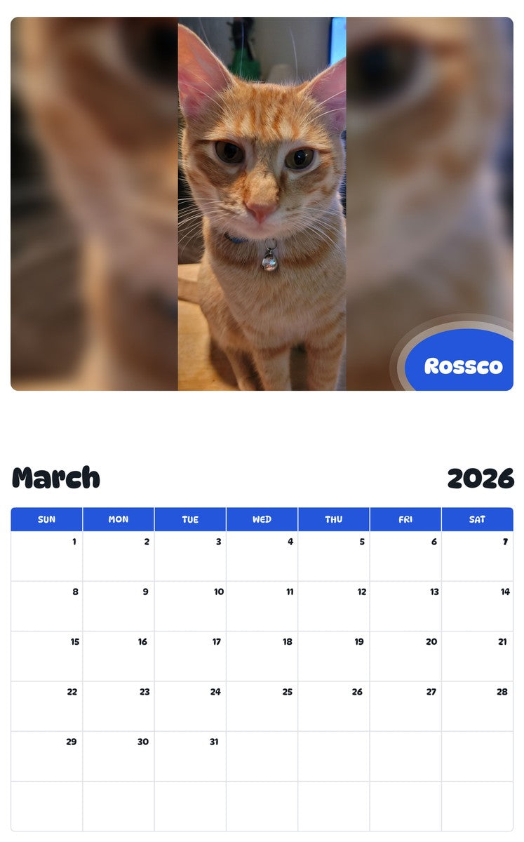 November 2025 - October 2026 Rossco - Pawidols Pet Calendar