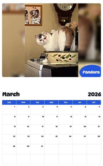 November 2025 - October 2026 Pandora - Pawidols Pet Calendar