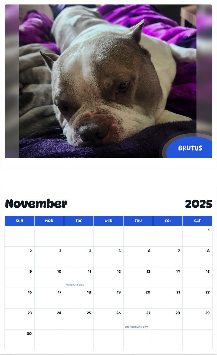 July 2025 - June 2026 Brutus - Pawidols Pet Calendar