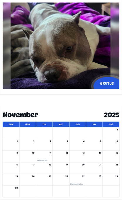 July 2025 - June 2026 Brutus - Pawidols Pet Calendar