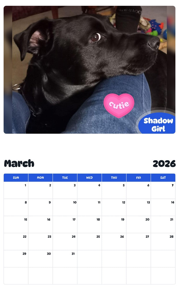 November 2025 - October 2026 Shadow Girl - Pawidols Pet Calendar