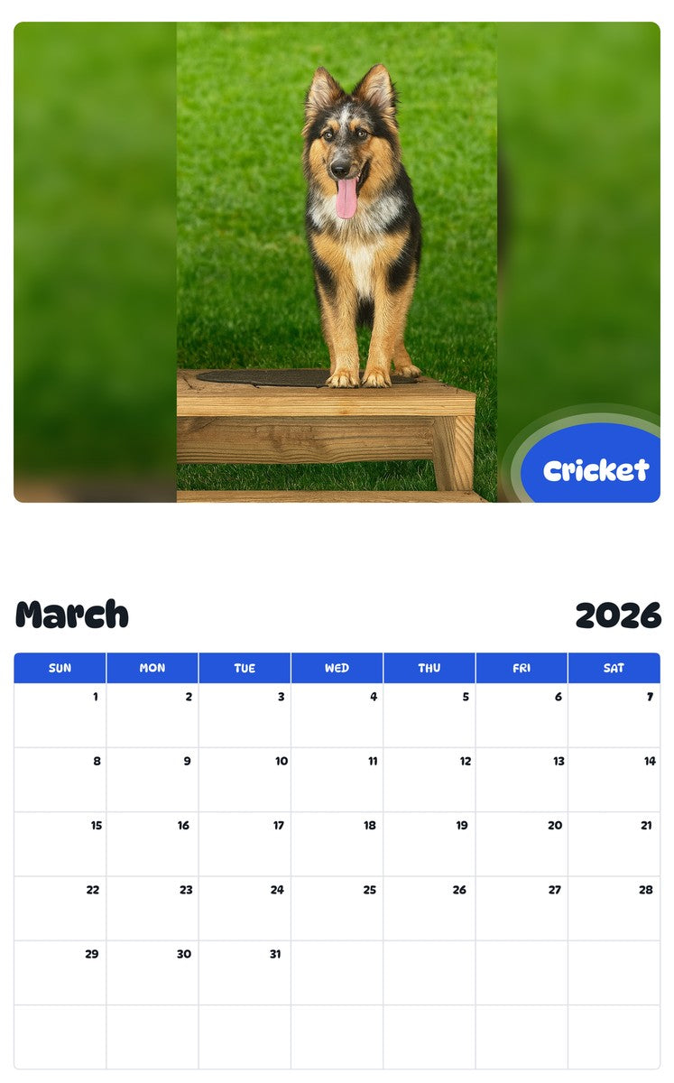 November 2025 - October 2026 Cricket - Pawidols Pet Calendar