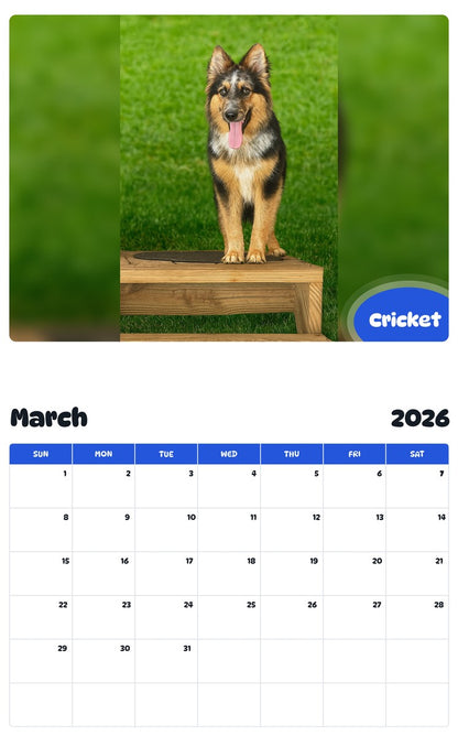 November 2025 - October 2026 Cricket - Pawidols Pet Calendar