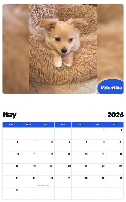 2026 - 2027 Valentine - Pawidols Pet Calendar