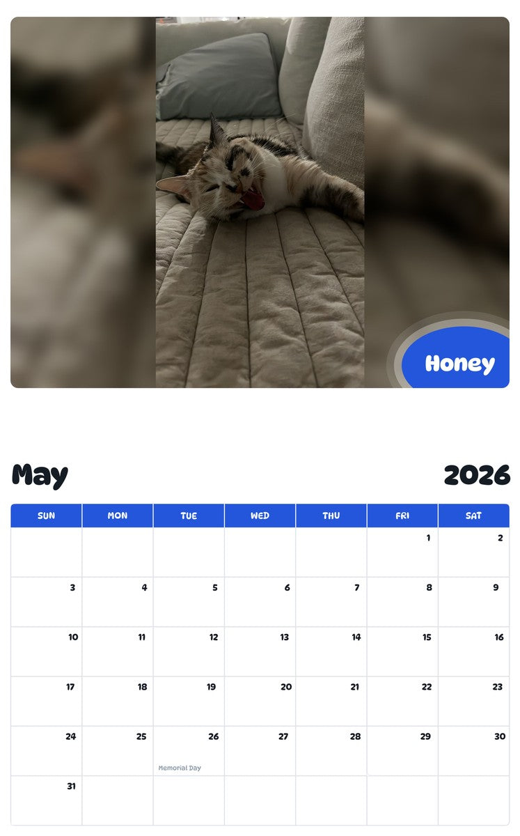 2026 - 2027 Honey - Pawidols Pet Calendar