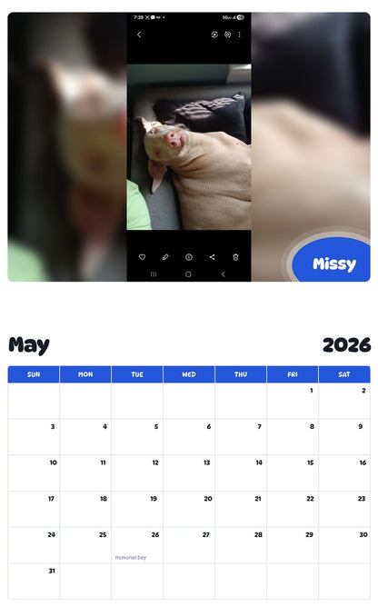 2026 - 2027 Missy - Pawidols Pet Calendar