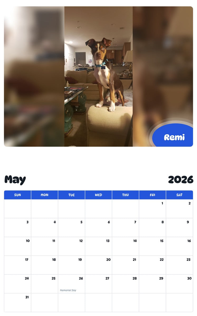 2026 - 2027 Remi - Pawidols Pet Calendar
