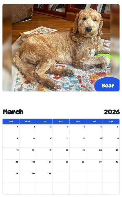 November 2025 - October 2026 Bear - Pawidols Pet Calendar