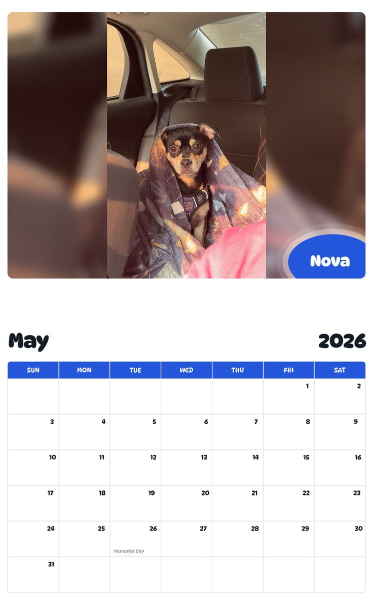2026 - 2027 Nova - Pawidols Pet Calendar