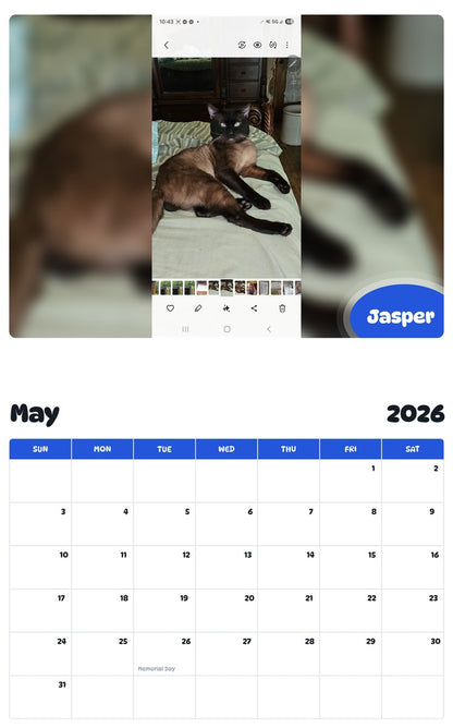 2026 - 2027 Jasper - Pawidols Pet Calendar