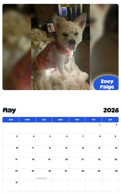 2026 - 2027 Zoey Paige - Pawidols Pet Calendar