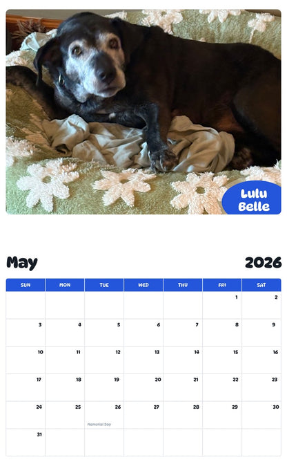 2026 - 2027 Lulu Belle - Pawidols Pet Calendar