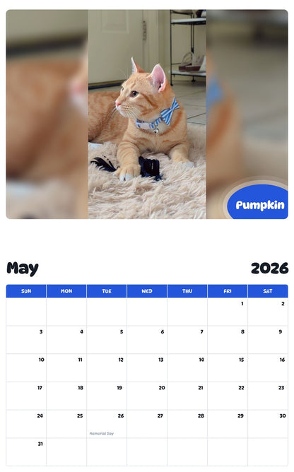2026 - 2027 Pumpkin - Pawidols Pet Calendar