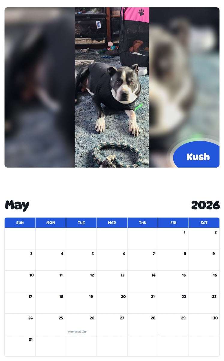2026 - 2027 Kush - Pawidols Pet Calendar