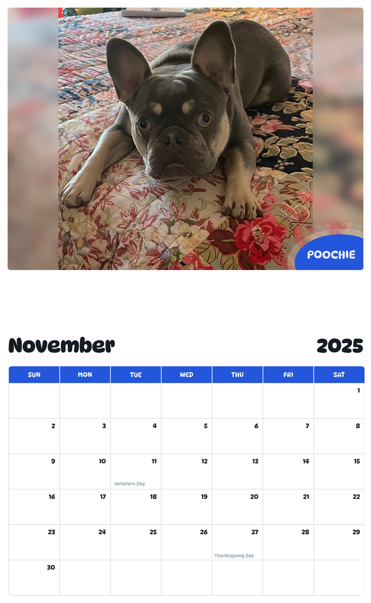 July 2025 - June 2026 Poochie - Pawidols Pet Calendar