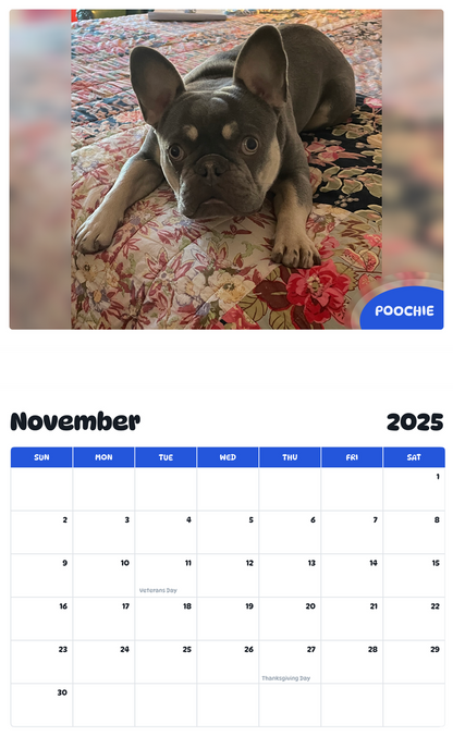 July 2025 - June 2026 Poochie - Pawidols Pet Calendar