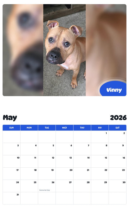 2026 - 2027 Vinny - Pawidols Pet Calendar