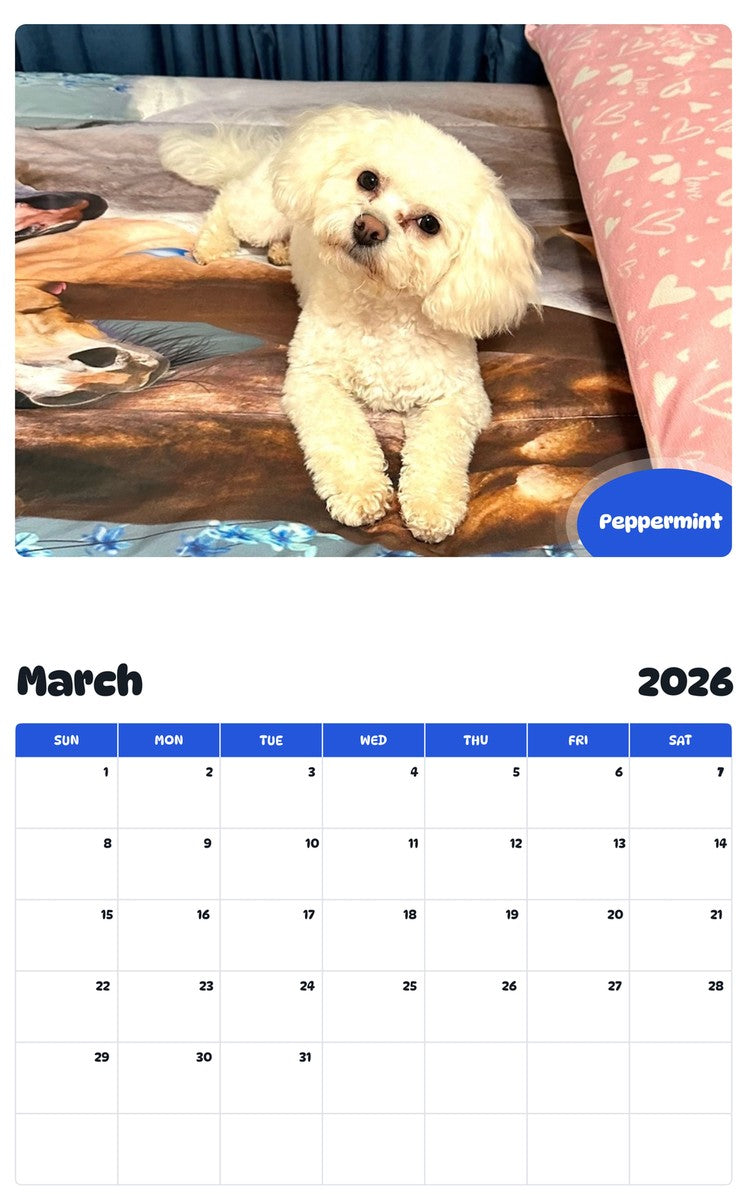 November 2025 - October 2026 Peppermint - Pawidols Pet Calendar