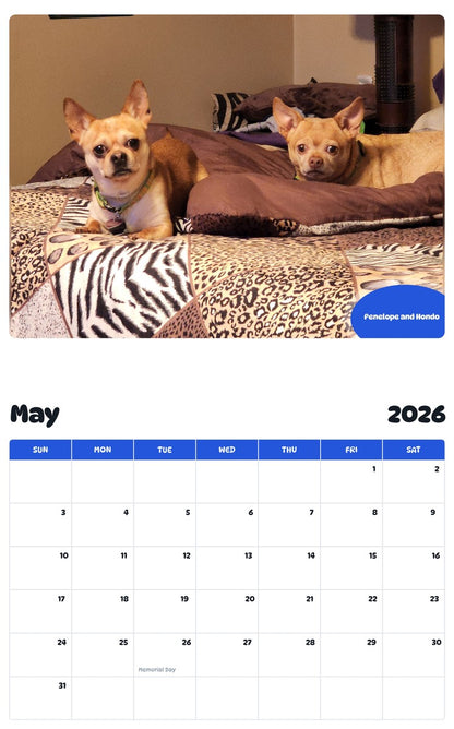 2026 - 2027 Penelope and Hondo - Pawidols Pet Calendar