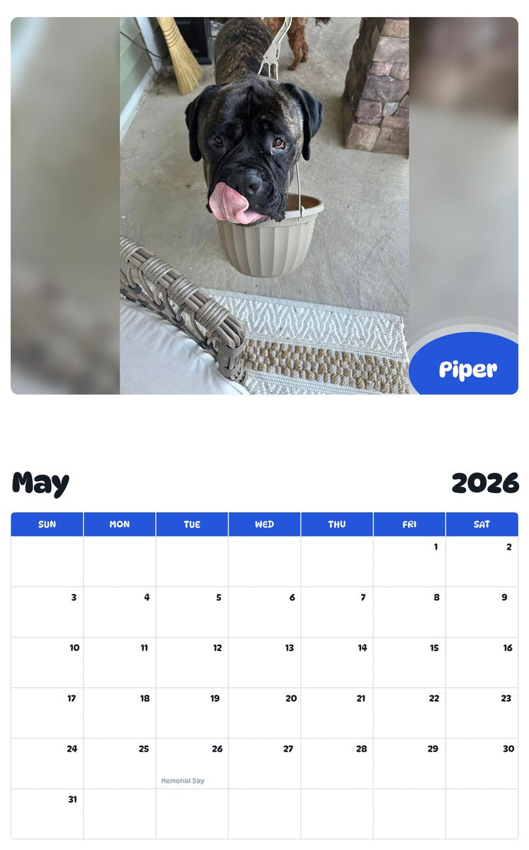 2026 - 2027 Piper - Pawidols Pet Calendar