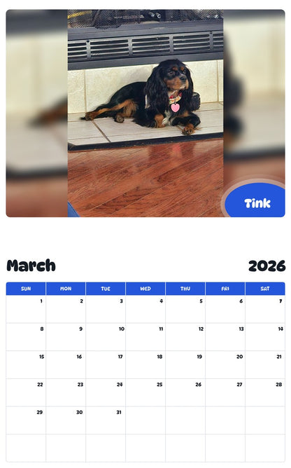 November 2025 - October 2026 Tink - Pawidols Pet Calendar