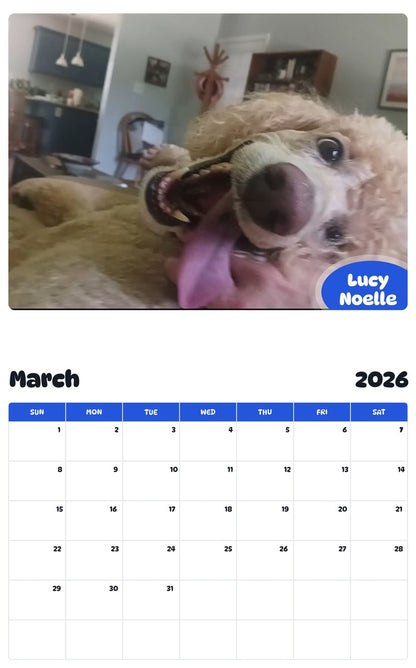 November 2025 - October 2026 Lucy Noelle - Pawidols Pet Calendar