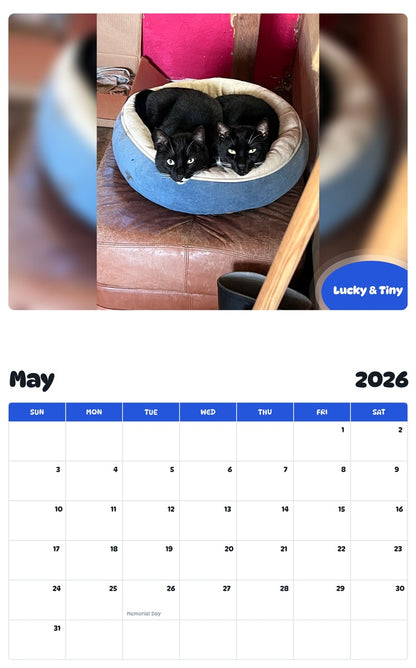 2026 - 2027 Lucky & Tiny - Pawidols Pet Calendar