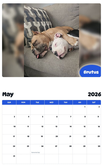 2026 - 2027 Brutus - Pawidols Pet Calendar